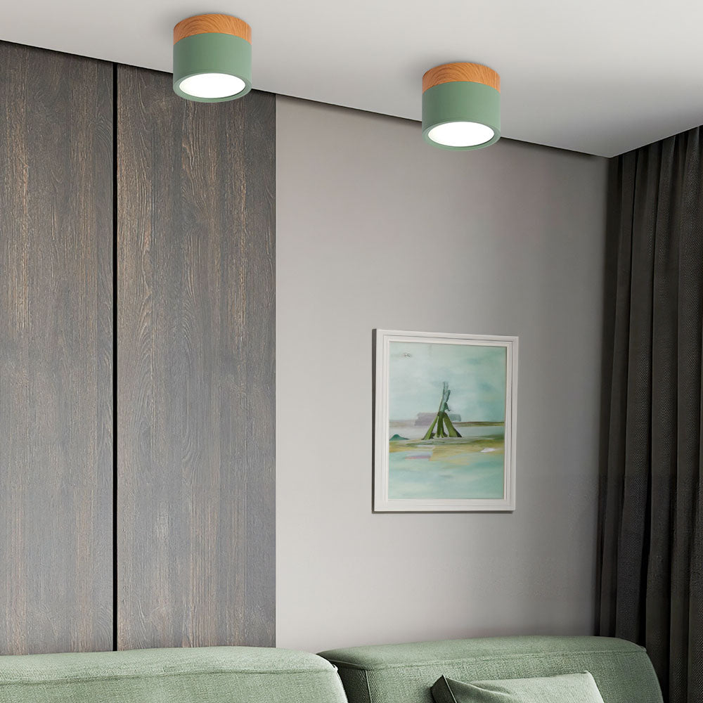 Cylinder Flush Ceiling Lights | Colourful