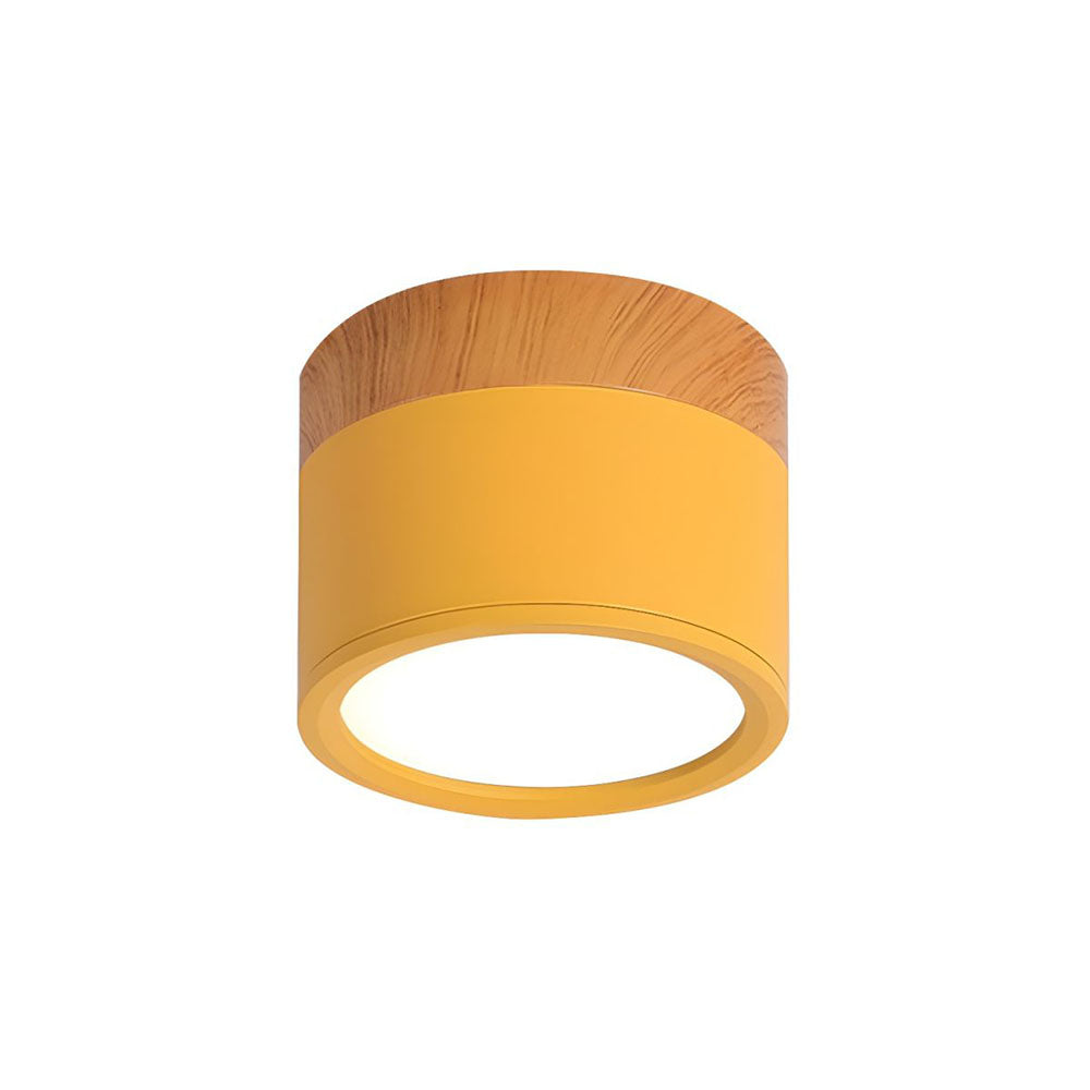 Cylinder Flush Ceiling Lights | Colourful