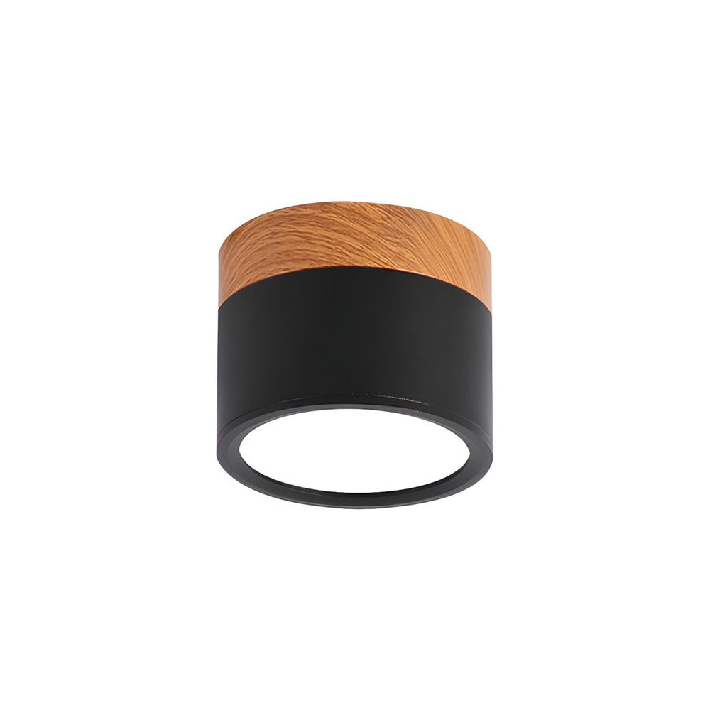 Cylinder Flush Ceiling Lights | Colourful