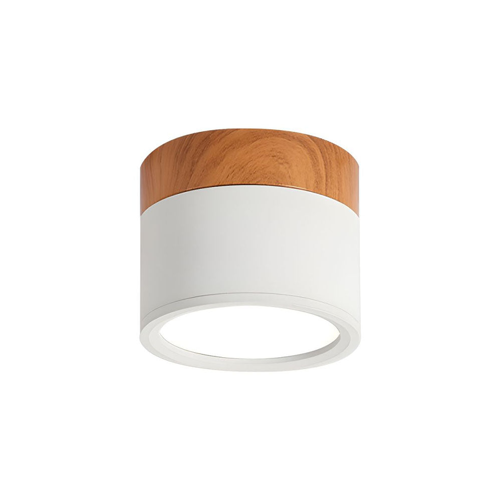Cylinder Flush Ceiling Lights | Colourful