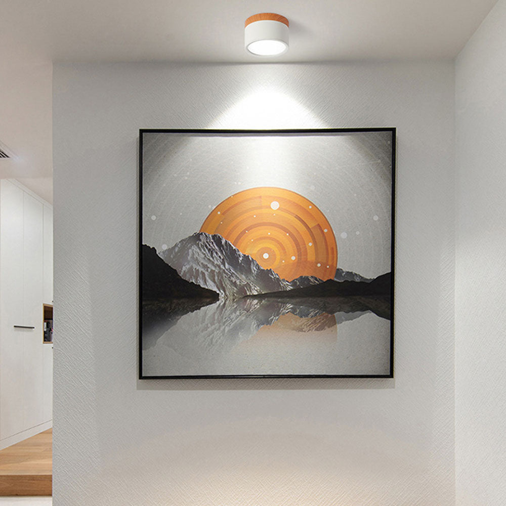 Cylinder Flush Ceiling Lights | Colourful