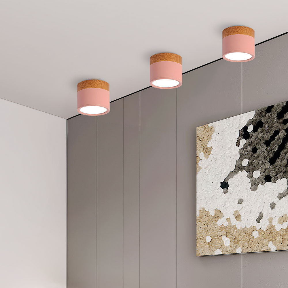 Cylinder Flush Ceiling Lights | Colourful
