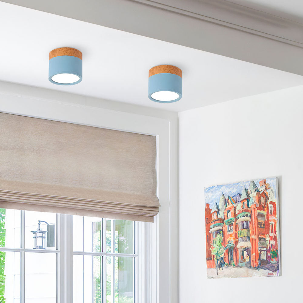 Cylinder Flush Ceiling Lights | Colourful