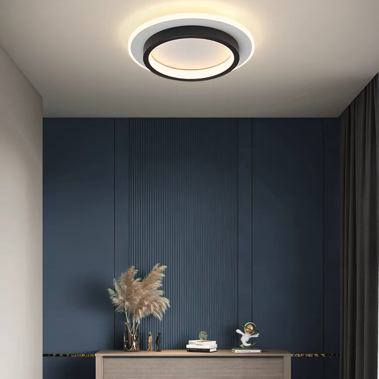 Hallway Ceiling Lights | Black
