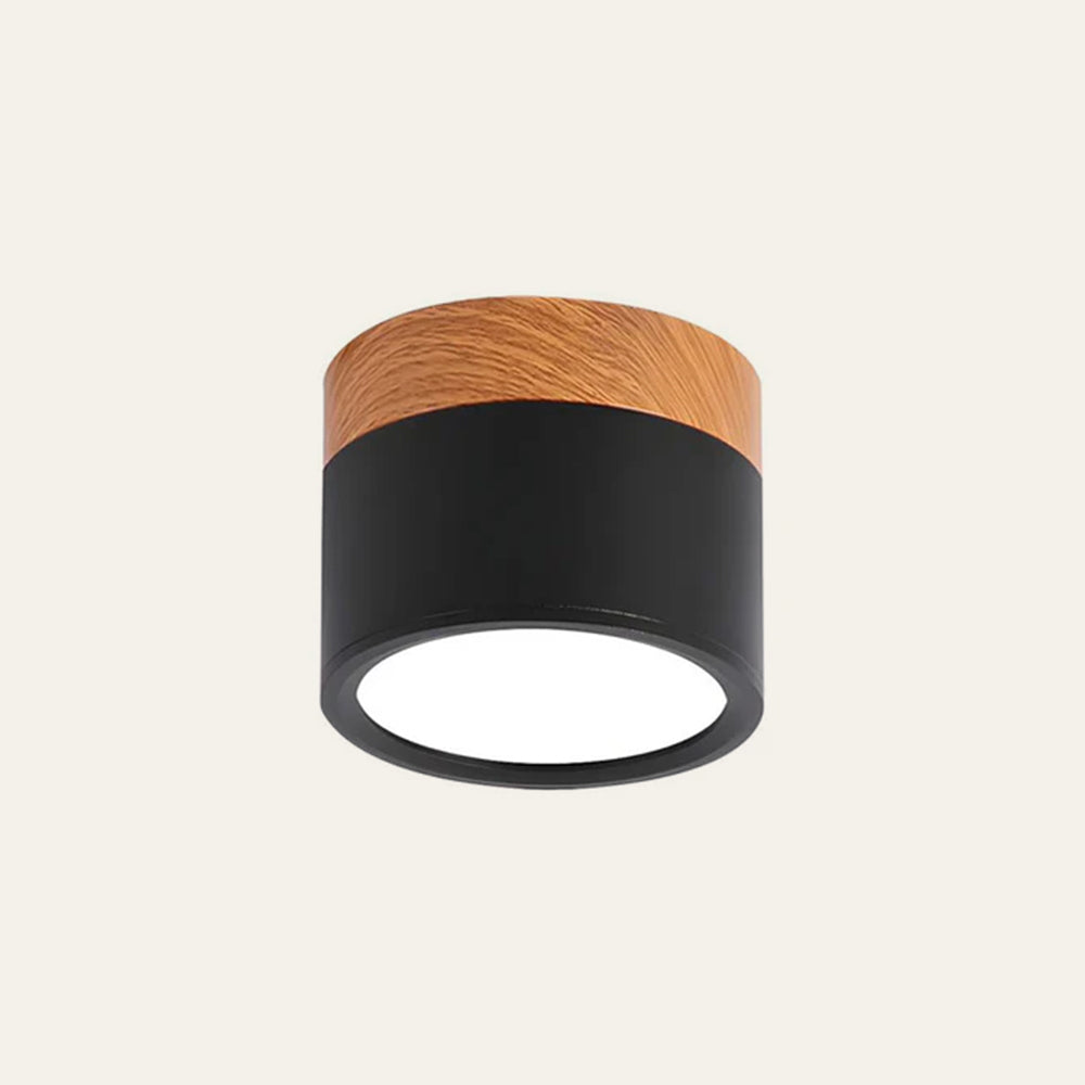 Cylinder Flush Ceiling Lights | Colourful