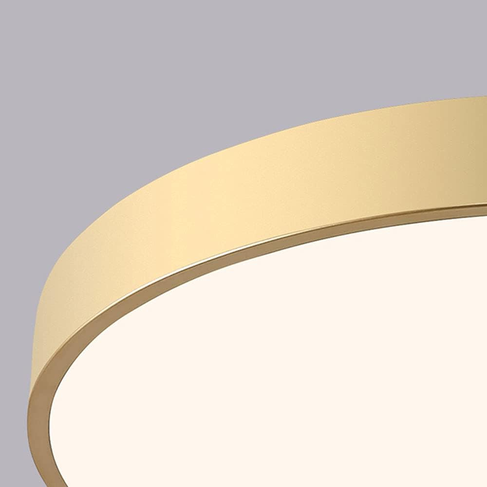 Circular Flush Ceiling Lights | Colourful