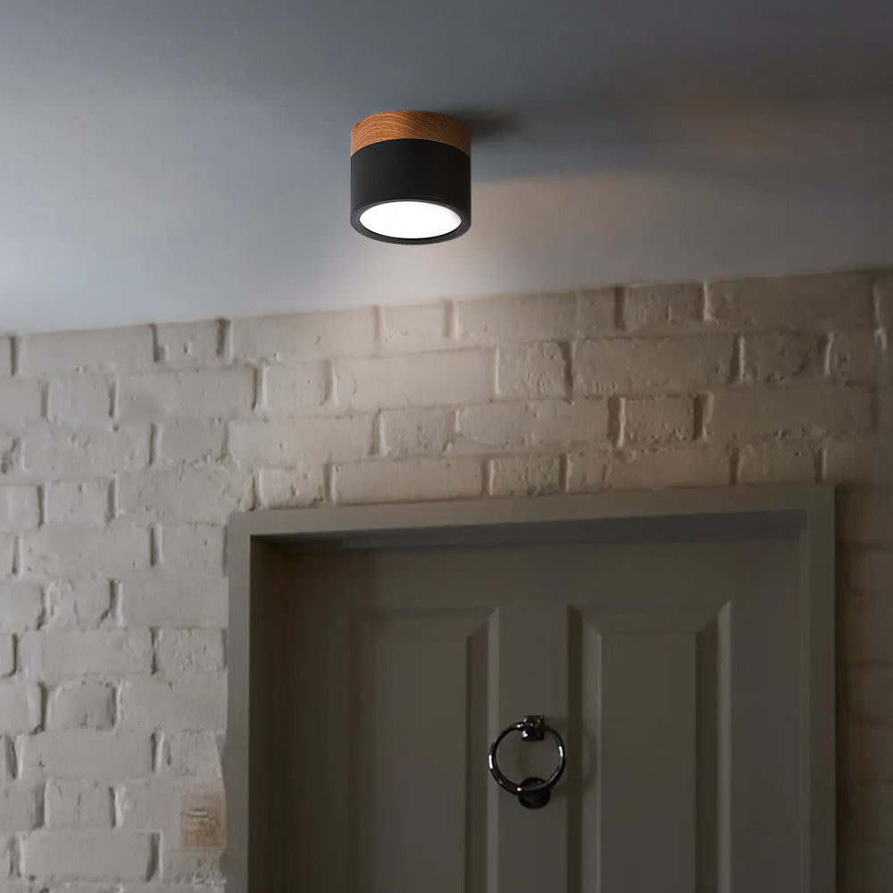 Cylinder Flush Ceiling Lights | Colourful