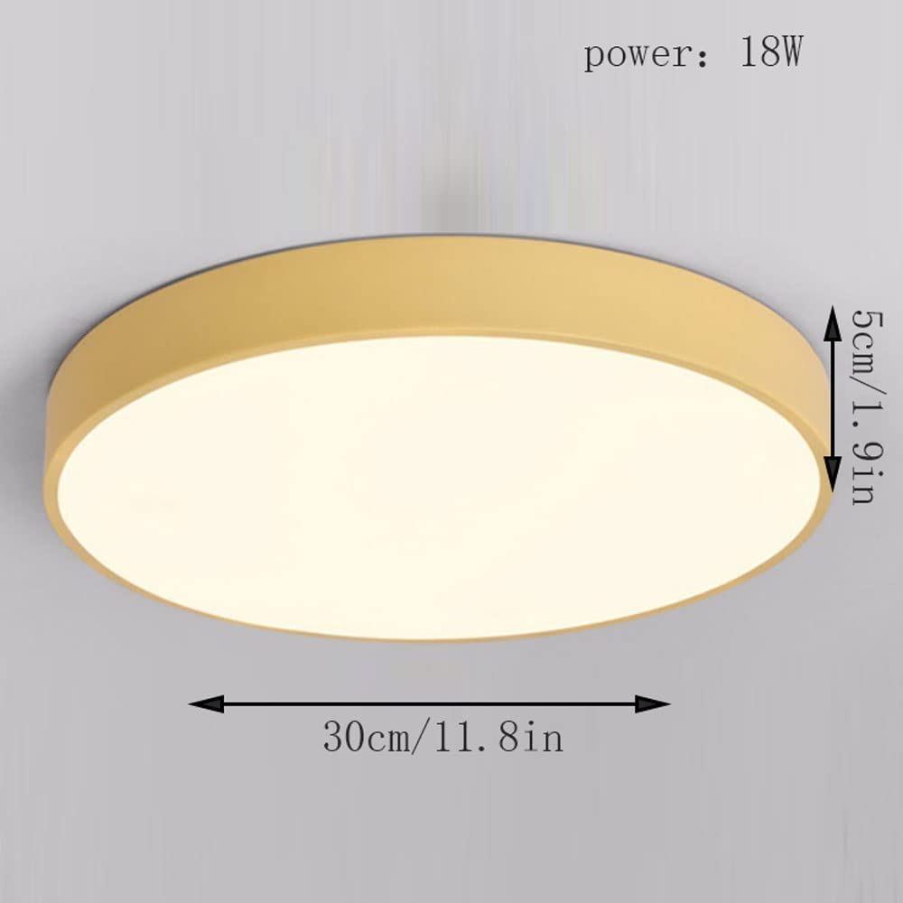 Circular Flush Ceiling Lights | Colourful