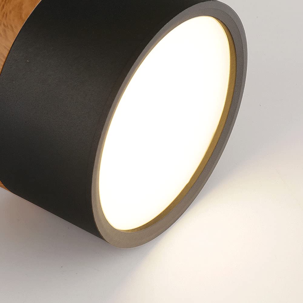 Cylinder Flush Ceiling Lights | Colourful