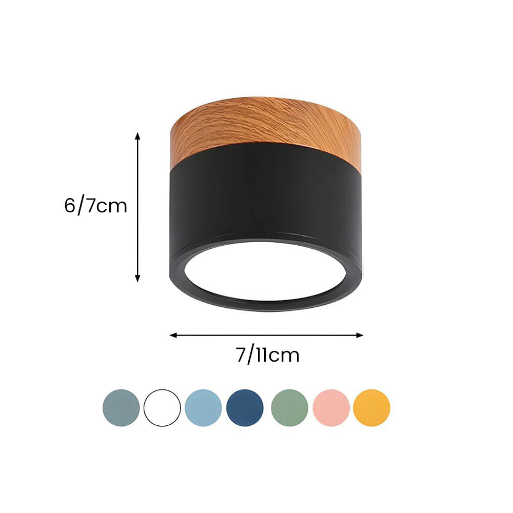 Cylinder Flush Ceiling Lights | Colourful